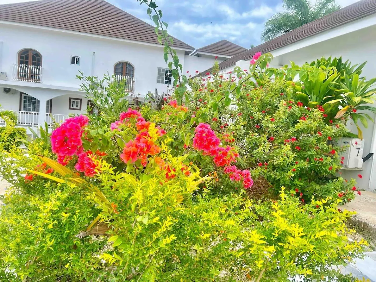 Σπίτι διακοπών Charming Sea View Town House Chefdriver Optional Μοντέγκο Μπέυ Τζαμάικα